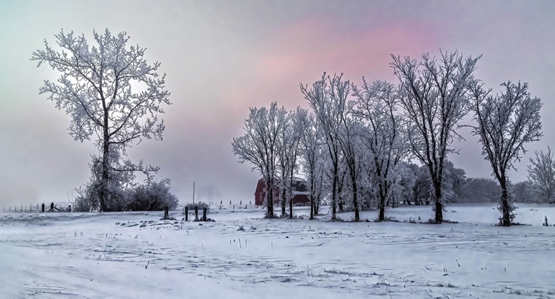 Winter Scene by Stino Scaletta
